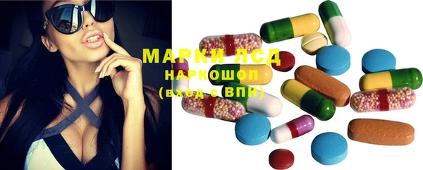 ПСИЛОЦИБИНОВЫЕ ГРИБЫ Баксан