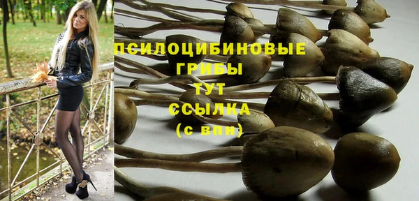 ПСИЛОЦИБИНОВЫЕ ГРИБЫ Баксан